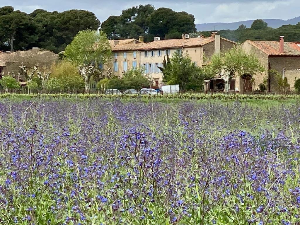 Le Relais D'Affiac Bed & Breakfast Peyriac-Minervois Ngoại thất bức ảnh