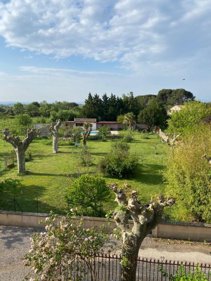 Le Relais D'Affiac Bed & Breakfast Peyriac-Minervois Ngoại thất bức ảnh