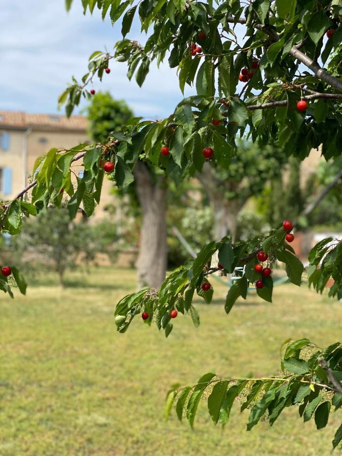 Le Relais D'Affiac Bed & Breakfast Peyriac-Minervois Ngoại thất bức ảnh