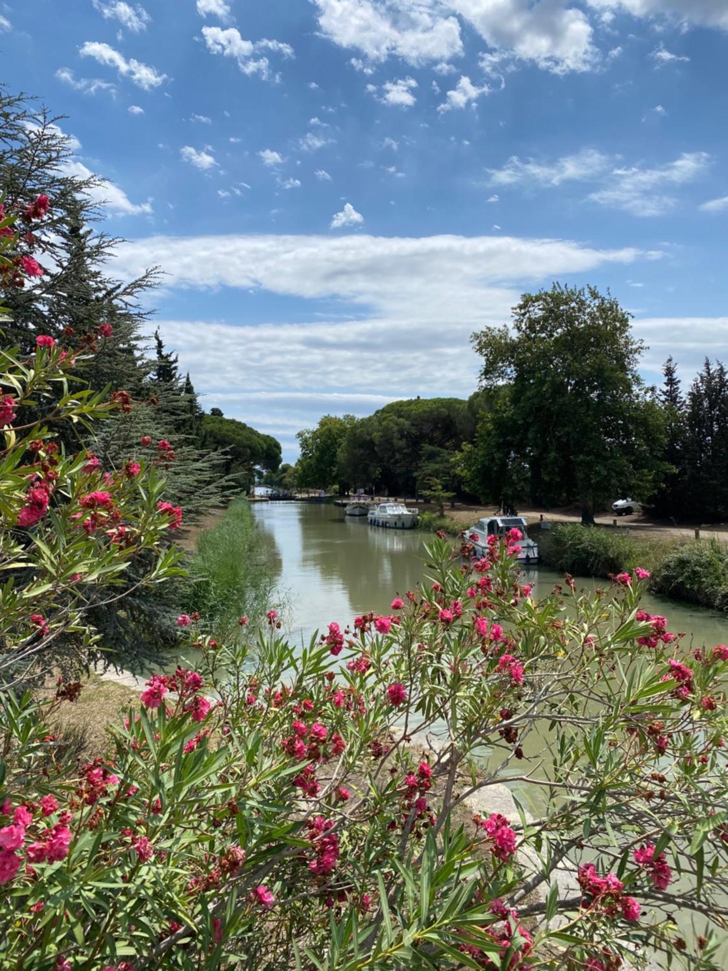 Le Relais D'Affiac Bed & Breakfast Peyriac-Minervois Ngoại thất bức ảnh